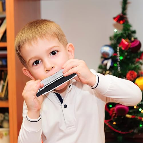 Miniatura 6 de UPINS Harmonica, 4 piezas Key of C Blues 10 agujeros 20 tonos titanio color armónica con estuche paño de limpieza para principiantes (negro,