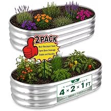 HOOPLE 2 Pack Raised Garden Bed 4x2x1FT, Galvanized Metal Raised Garden Bed Outdoor, Oval Design with Open Base for Better Drainage, Compact Garden Bed for Vegetables, Herbs & Flowers