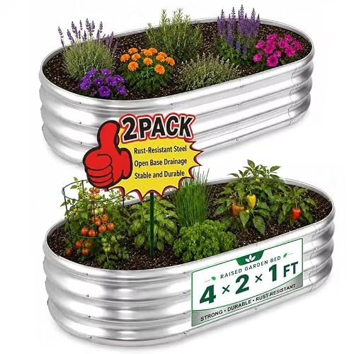HOOPLE 2 Pack Raised Garden Bed 4x2x1FT, Galvanized Metal Raised Garden Bed Outdoor, Oval Design with Open Base for Better Drainage, Compact Garden Bed for Vegetables, Herbs & Flowers