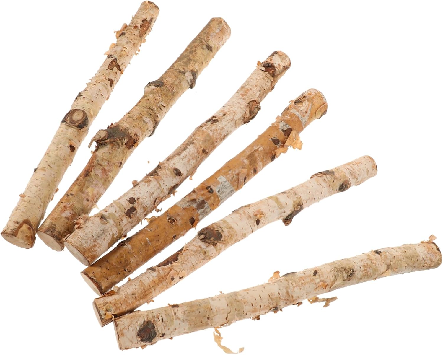 Lurrose 6pcs Birch Sticks Crafts Making Accessory Natural Twigs Sticks Natural Wooden Sticks Wood Twigs Sticks Wood Craft Sticks Wood Crafting Stick Wood Sticks for Crafts Photo Props