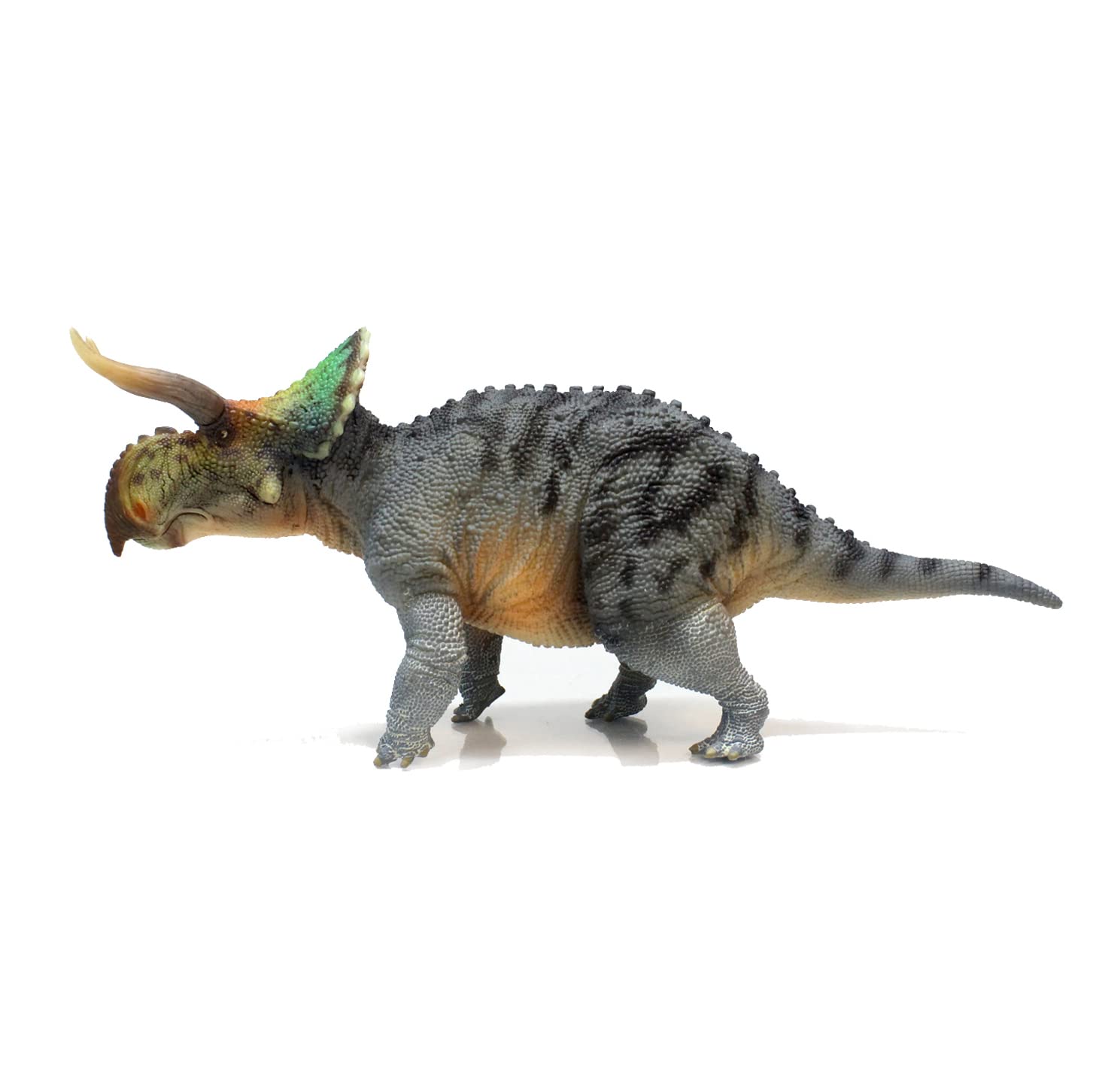 HAOLONGGOOD Series（Nasutoceratops1：35 Science and Art Model） Blue