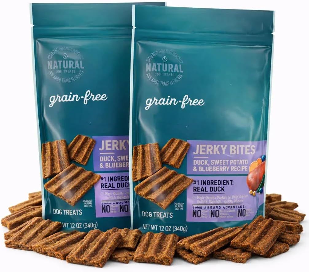 Grain Free Jerky Dog Treats, Soft Chewy Salmon Training Treats for Dogs - 24oz, Natural Healthy Low Calorie High Protein Dog Snacks, Sweet Potato, Real Meat, Made in USA, Puppy Senior Adult All Breeds