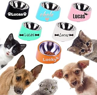 15Â° tilt Design Dog Food Bowls Personalized cat Food Feeder Custom pet Name Dog Bowls Anti-Slip and More Scientific Health Easy to eat Food