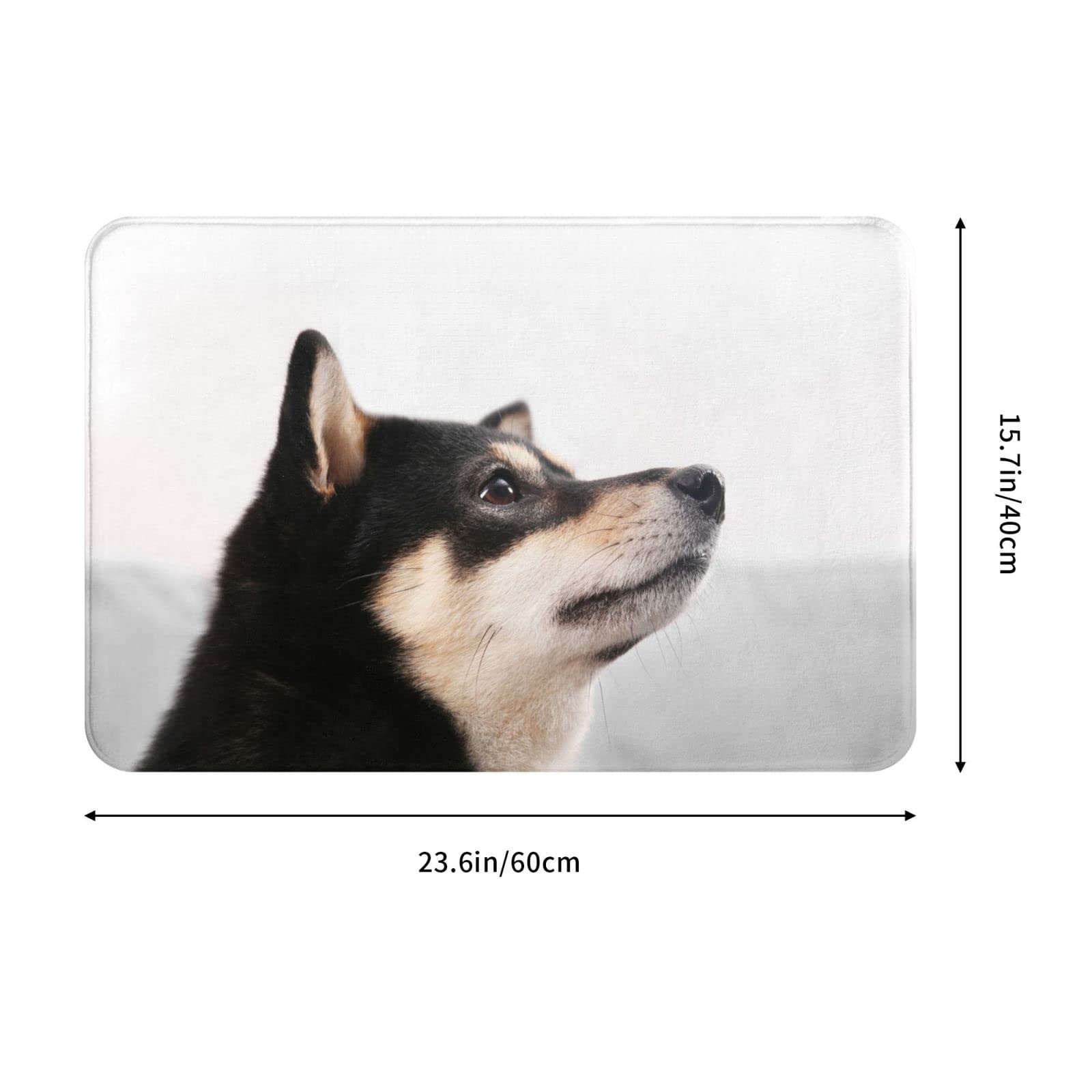 shiba専用ページ 滋賀オートライフハノ カワサキ「ZX-11」の持込ブレーキ＆クラッチ