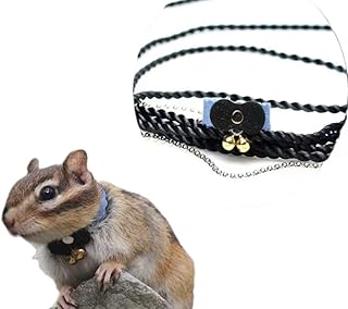 Barn Eleven Chipmunk Traction Rope Strap Anti-Biting Chain Rope, Small Animal Walking Harness with Lead Leash for Hamster Gerbil Rat Mouse Ferret Chinchilla (Blue)