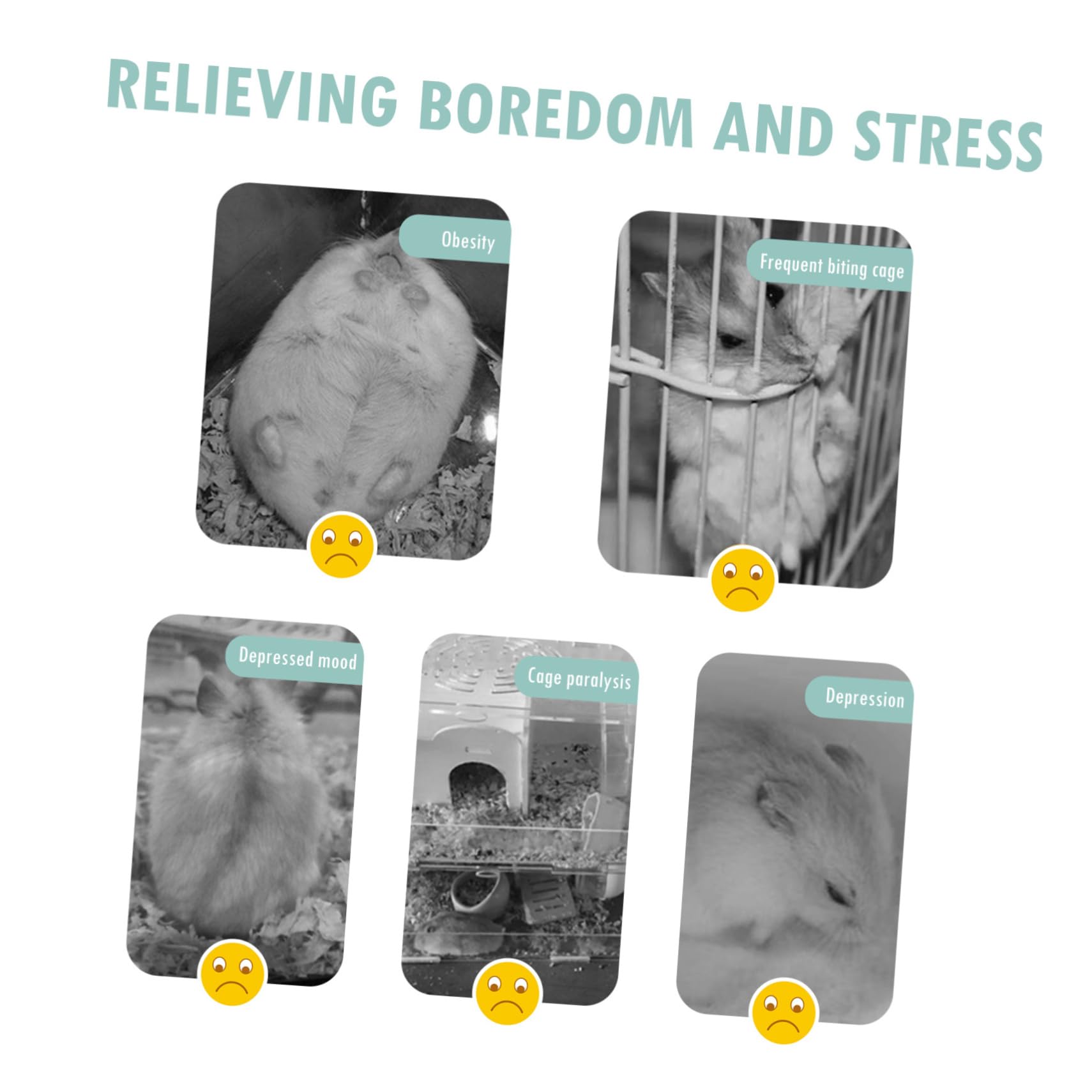 Mipcase Rueda De Ejercicio Silenciosa para Hámsters y Chinchillas con Soporte De Madera Accesorio para Jaulas De Pequeños Roedores como Ratones y Erizos Juguete Interactivo para Mascotas