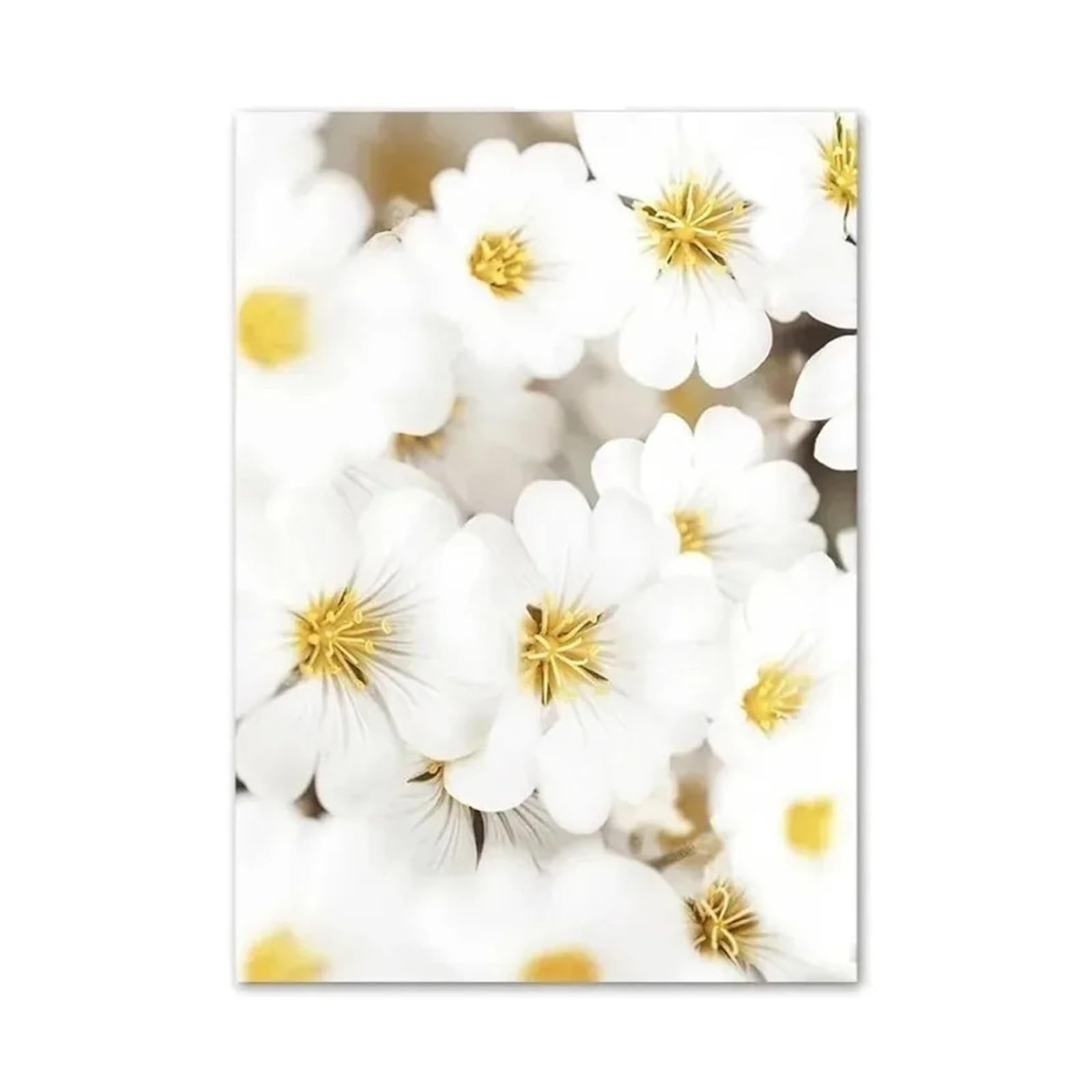 Xenite F Wall Art Canvas Prints Canvas Painting Yellow Dahlia Sunflower Orchid Butterfly Beige Wall Art Nordic Posters And Prints Pictures Or Living Room Decor(,40X50cm)