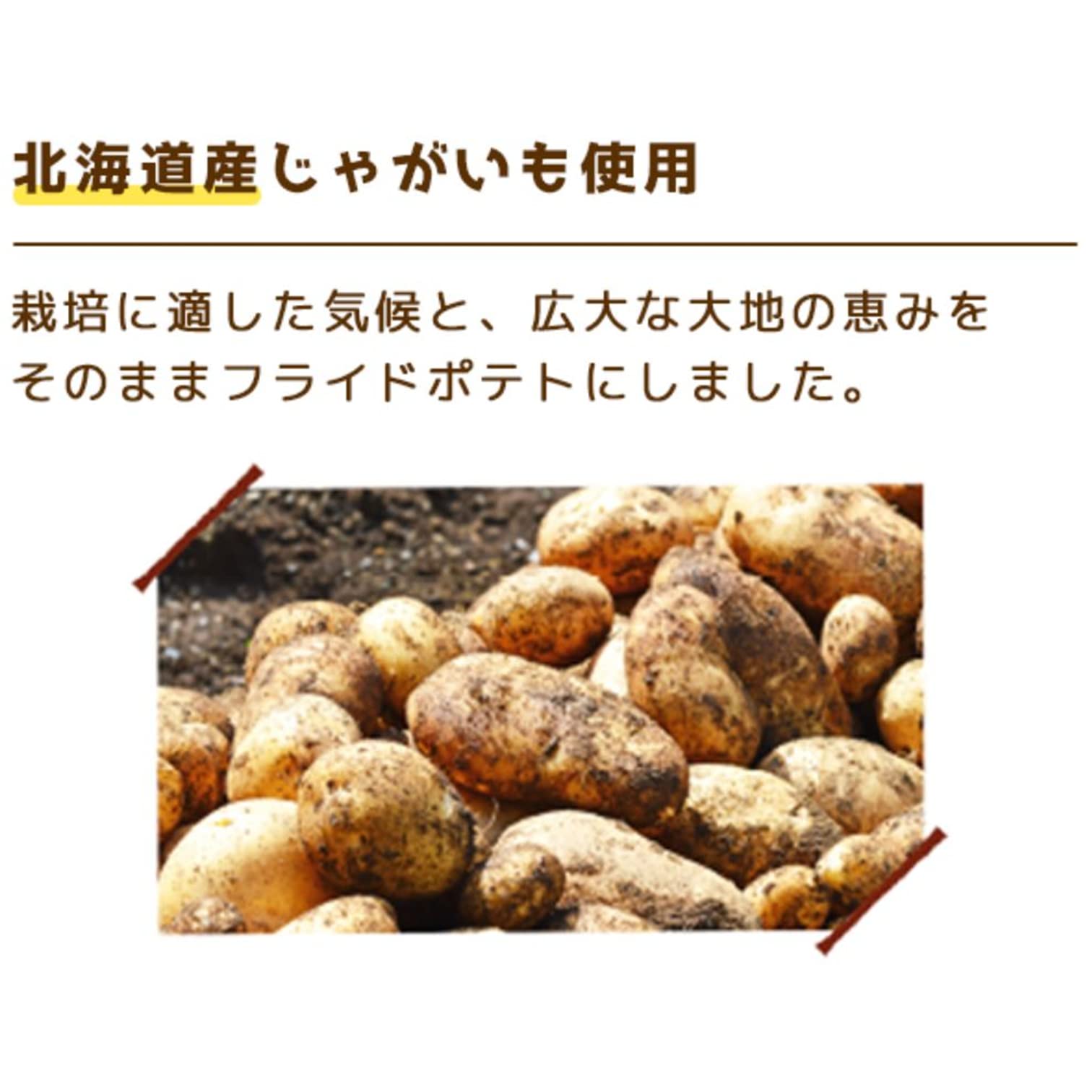 Amazon.co.jp: [冷凍] 大塚食品 マイクロマジック フライドポテト 90g