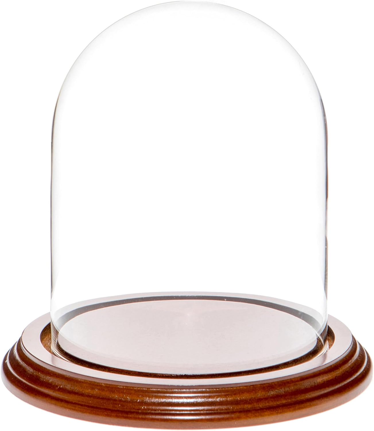 Plymor 4.5" x 6" Glass Display Dome Cloche (no Base)