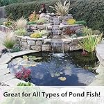 Kaytee Koi's Choice Koi Floating Fish Food, 10 Pound - Image 3