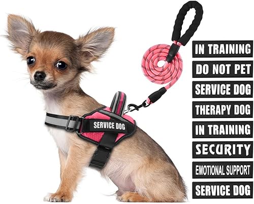Juego de arnés de perro de servicio, chaleco y correa, Animire en arnés para perro en entrenamiento con 10 parches para perros, correa reflectante