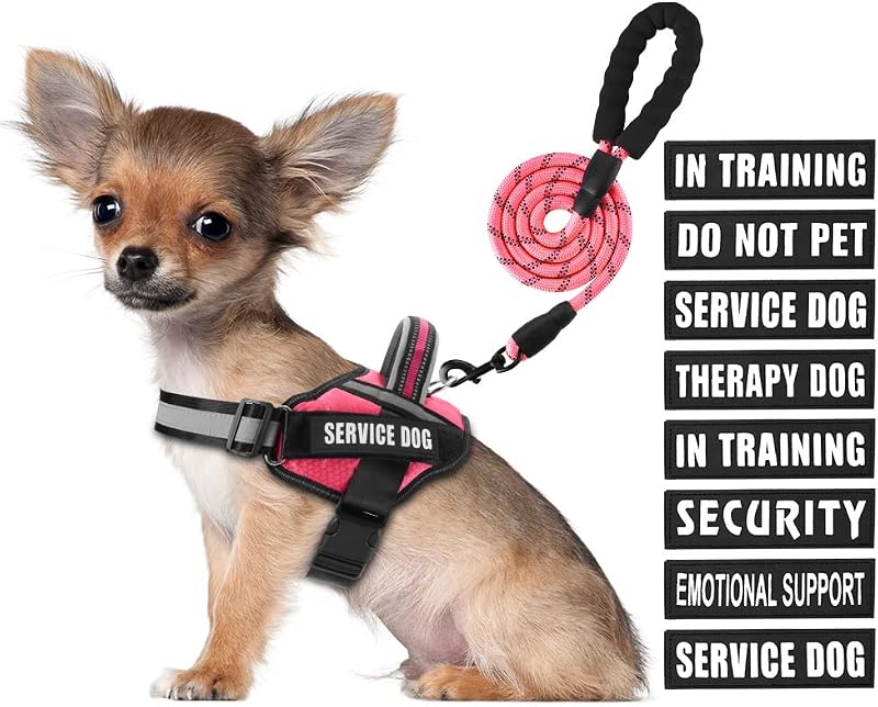 Peitoral vest para cães em treinamento Animire com guia refletiva e 10 patches (Rosy, tamanho S)