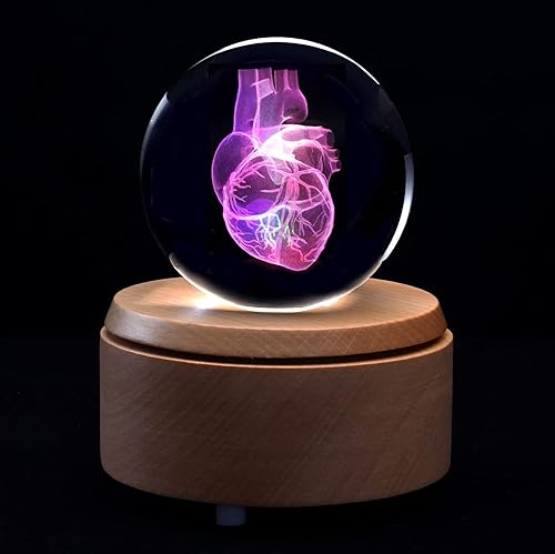 Miniatura 4 de XINDAM Pisapapeles modelo anatómico de corazón humano 3D (grabado con láser) en bola de cristal de cristal regalo de ciencia (base LED incluida)