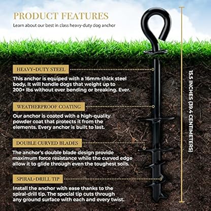 ROYAL PAW Heavy Duty Dog Stake for Large Dogs up to 210 lbs - Use Any Dog Tie Out Cable or Yard Leash (B1-Midnight Black) - Image 4