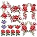 Homgaty 16Pcs Rose Flowers Embroidered Patches, Lace Floral Fabric Applique Sew on Embroidery, DIY Craft Patch Design for Clothes, Jeans, Jackets,Bags