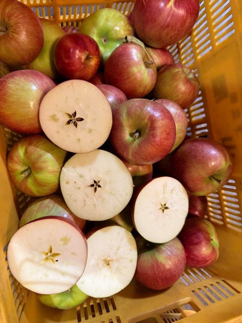 長野県産 つがる 5キロ