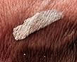 Review image 3