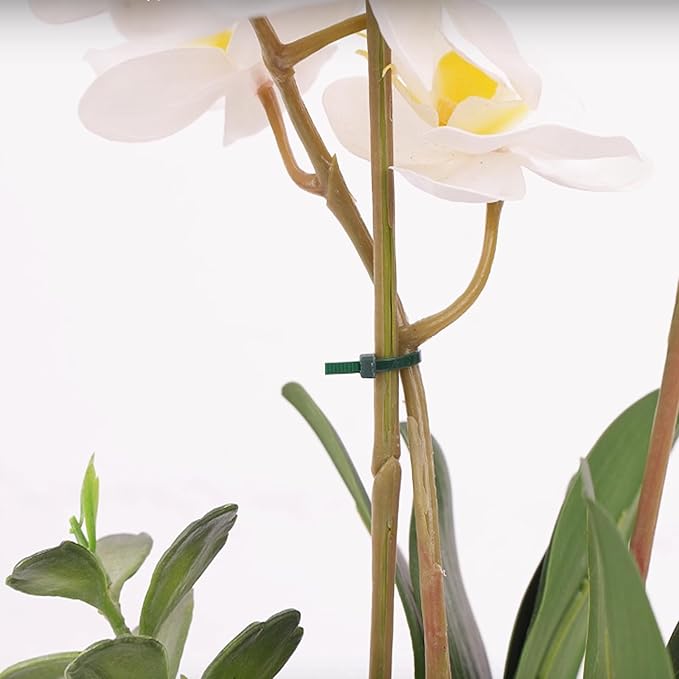 KINGLAKE GARDEN Green Zip Ties 100 Pack 8 Inch Green Nylon Plastic Cable Ties for Indoor and Outdoor