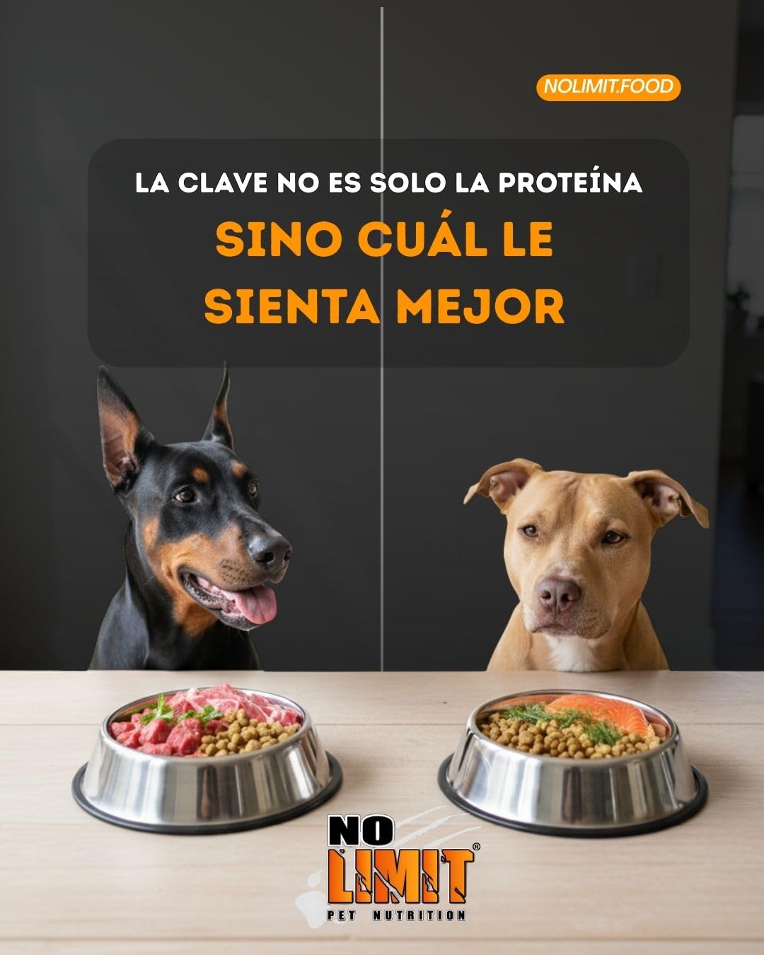 NO Limit Chicken & Blue Fish Pienso para Perros 15kg – Pollo, Salmón y Atún con Omega 3 – Comida Natural para Perros Adultos – Dog Food Premium para Vitalidad, Rendimiento y Pelaje Saludable