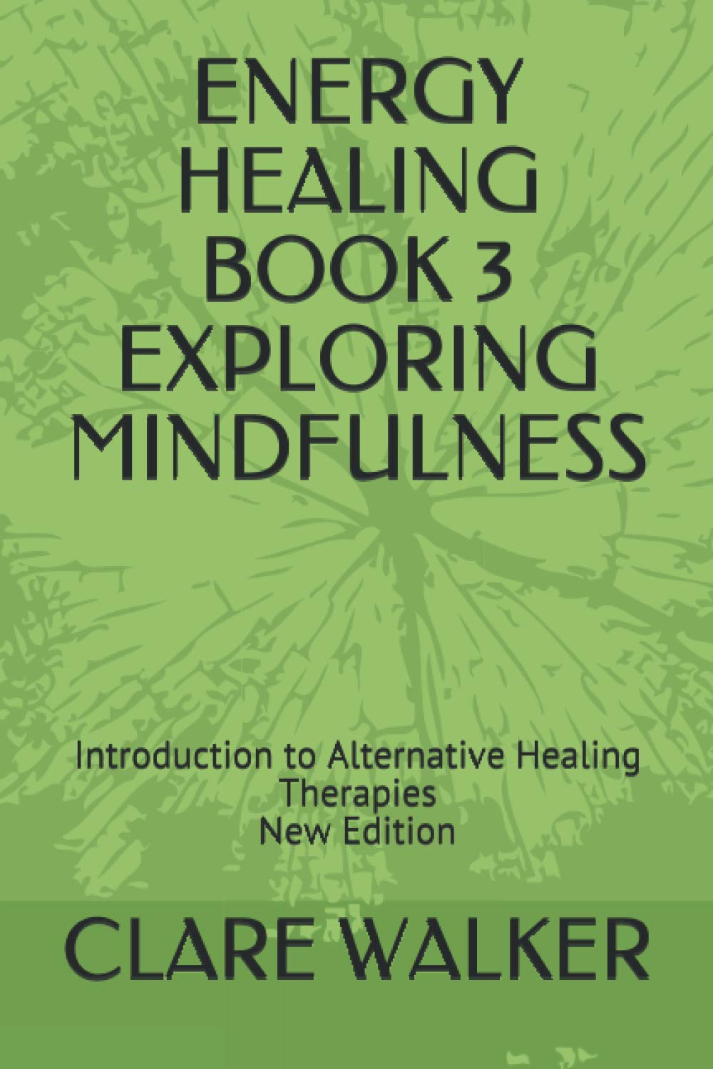 ENERGY HEALING BOOK 3 EXPLORING MINDFULNESS: Introduction to Alternative Healing Therapies New Edition