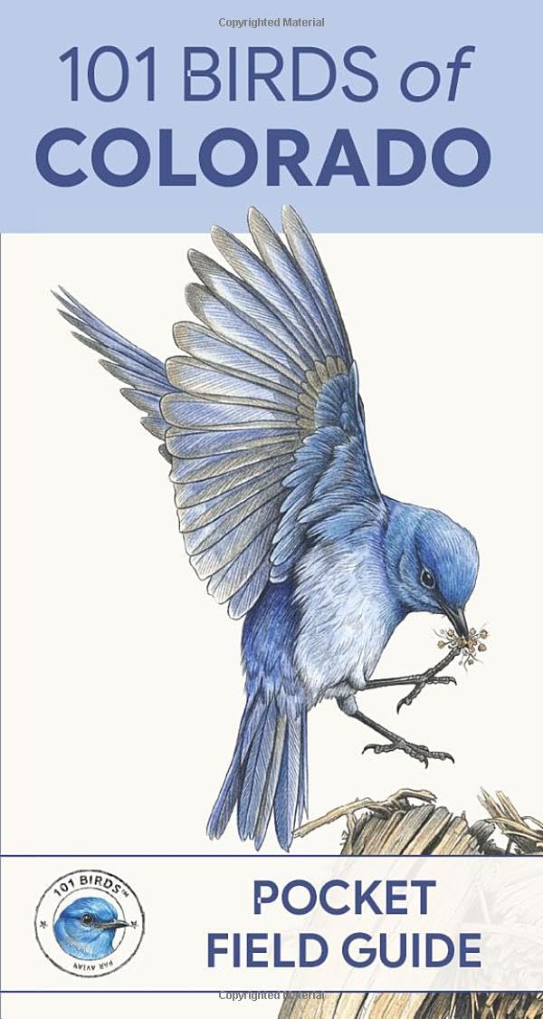 101 Birds of Colorado: Pocket Field Guide (101 Birds Pocket Field Guides)
