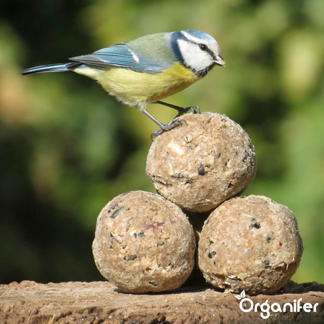 Bolas De Grasa para Insectos para Pájaros De Jardín - 75x100g | Con Soporte Gratuito - Con Gusanos De Harina Y Semillas De Girasol - Organifer