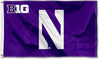 Northwestern Wildcats Big 10 Flag