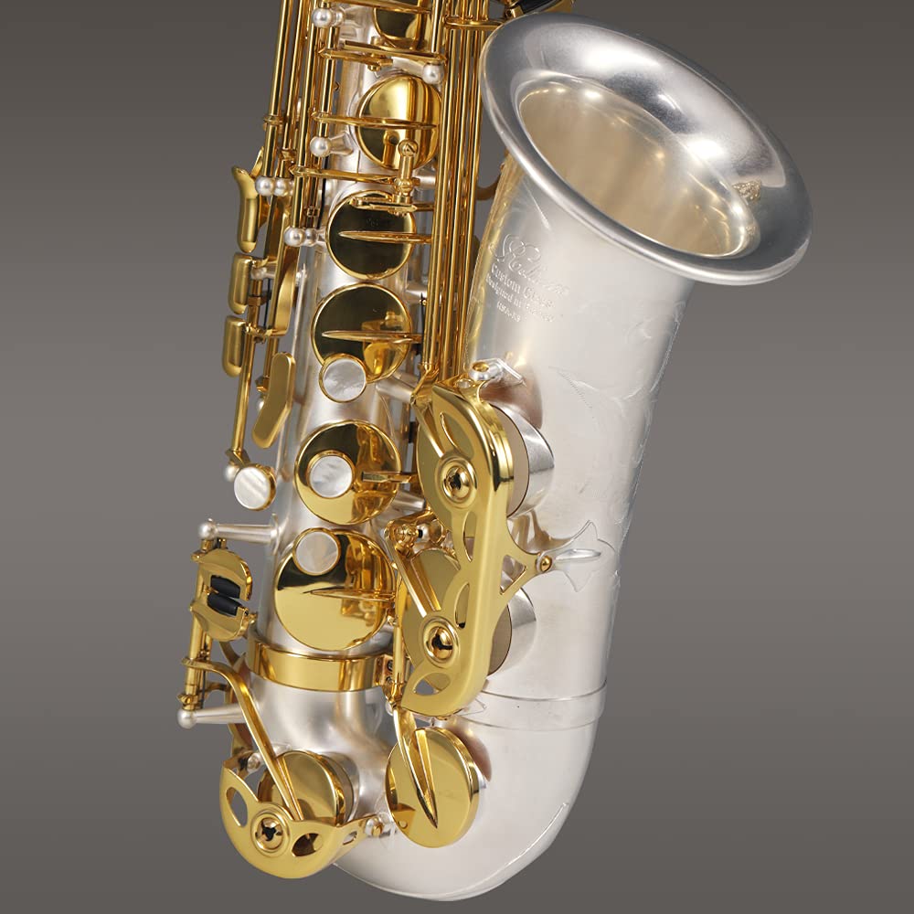 Rollins Saxophone alto RSA-X9,E flat Selmer 54-Key,Matière laiton,or+Argent