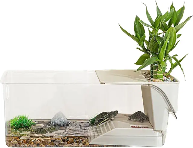 Turtle Aquarium Terrarium - Semi-Aquatic Reptile Habitat with 360° View