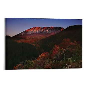 風景画　壁掛け　K.Ogi Amazon.com: Ecqizer 风客厅装饰画背有靠山画沙发背景墙挂画风景