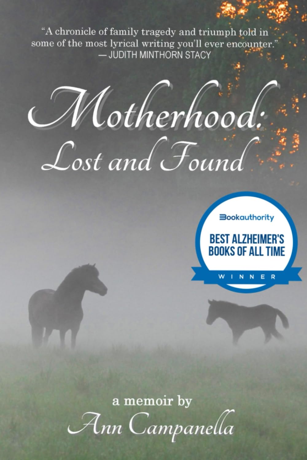 Motherhood: Lost and Found: A memoir