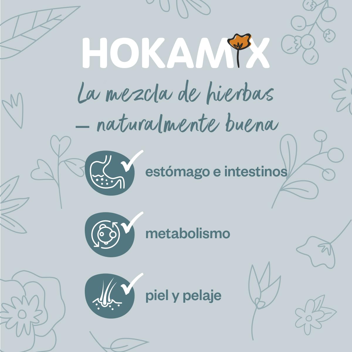 GRAU - El Original - Hokamix Vitality Booster Snack Maxi, Pack Individual (1 x 4,5 kg), alimento complementario para Perros