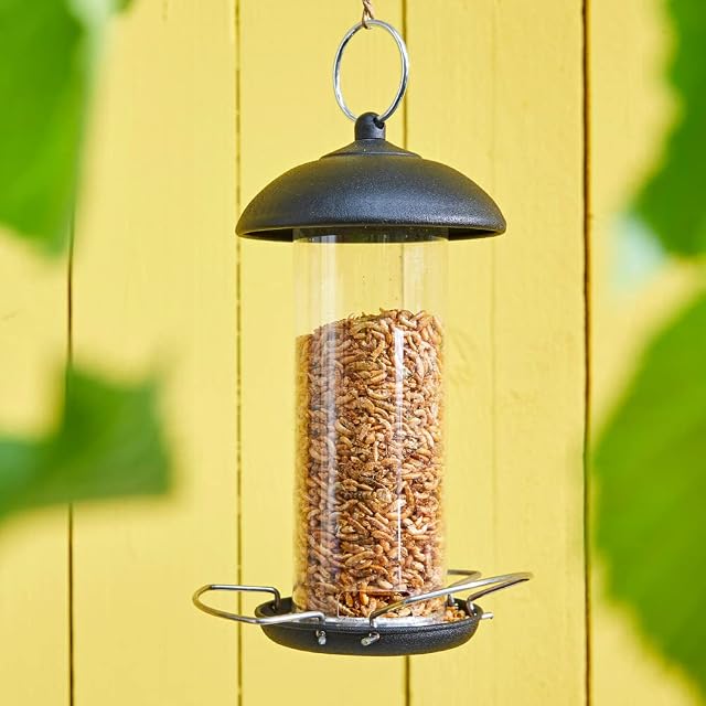 Foto 7 de 8 de Dehner Natura Premium Comida para Aves Silvestres, Mezcla de proteínas de gammarus/Insectos
