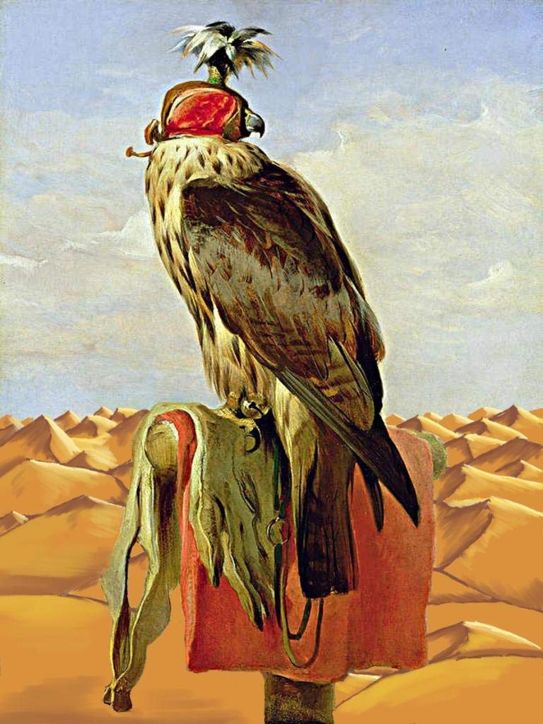 iDecor canvas printing of falcon in 40 x 30 cm frame