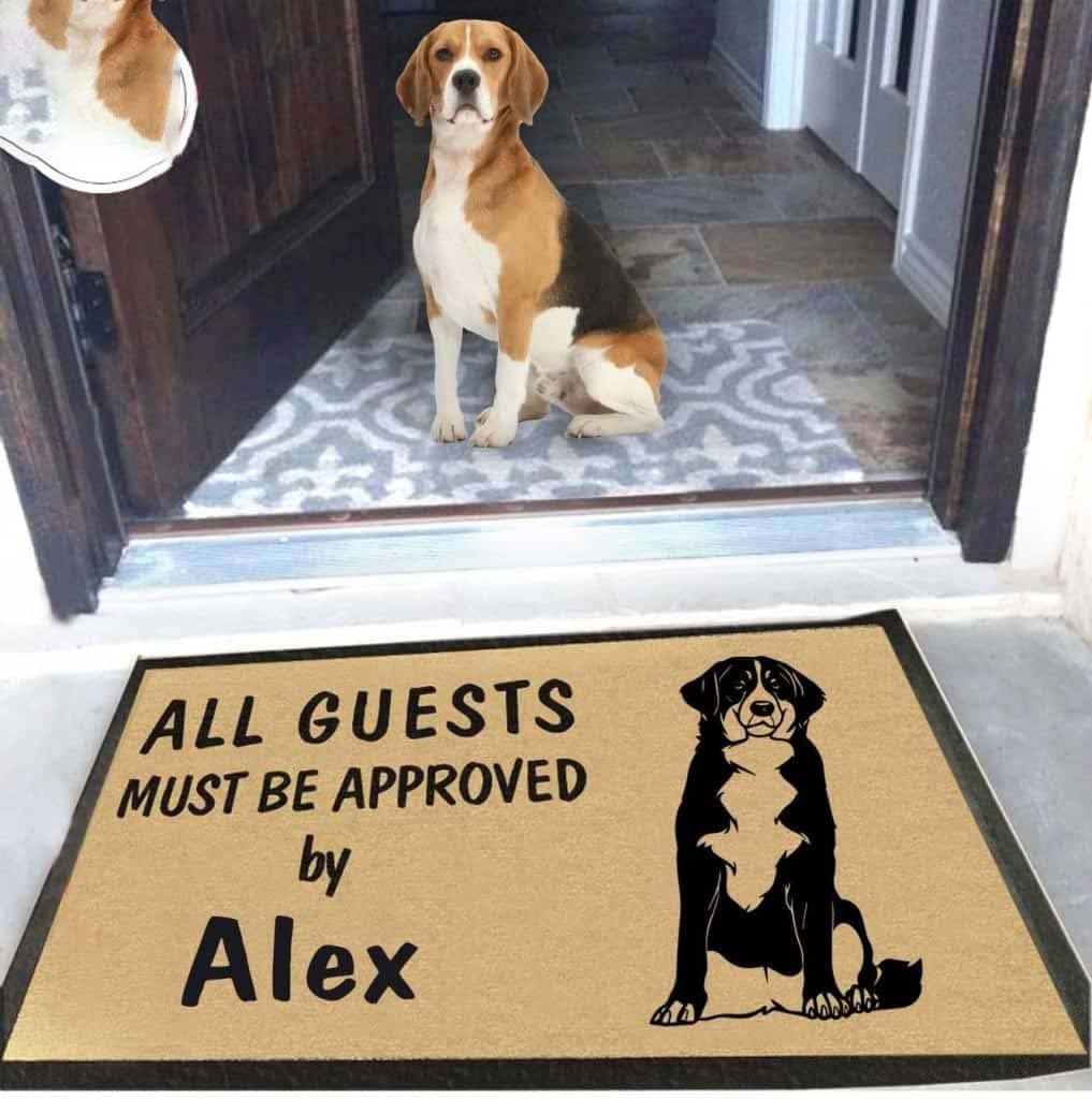 Paillasson extérieur entrée pour éliminer la boue personnalisé Beagle