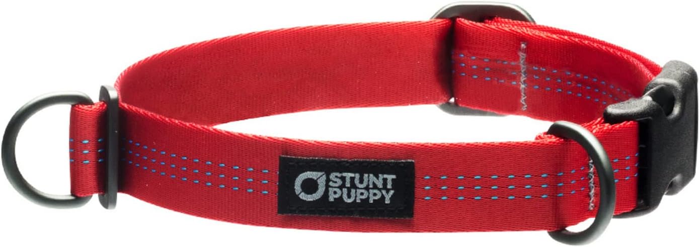 Stunt Puppy Everyday Dog Collar, Small, Red
