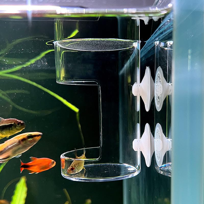 Dbeans Flourithing Fish Feeder Orbicular Automatic Fish Feeders Reduced Filter Clogging Tank Suitable for All Kinds of Food Tank Accessories