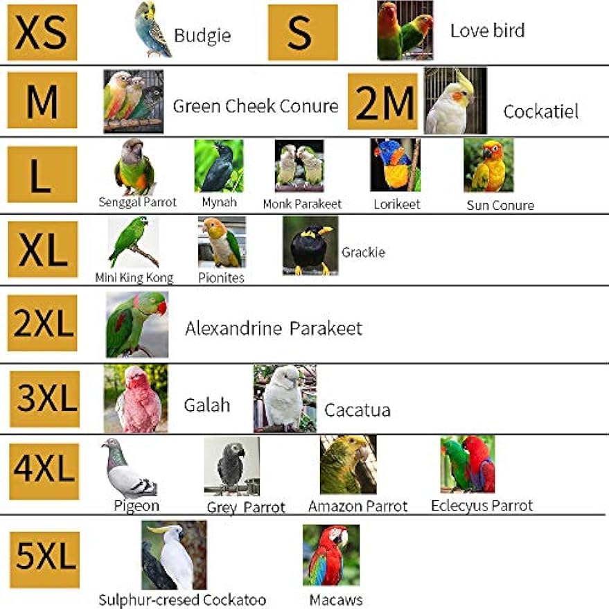 FORZENA Bird Clothes Pet Parrot Anti-bite Elizabethan Collars Anti-Grab Feather Plucking Wound Healing Safety Recovery Collar Cones for Budgerigar Lovebird Conure Cockatiel Cockatoo (XS)