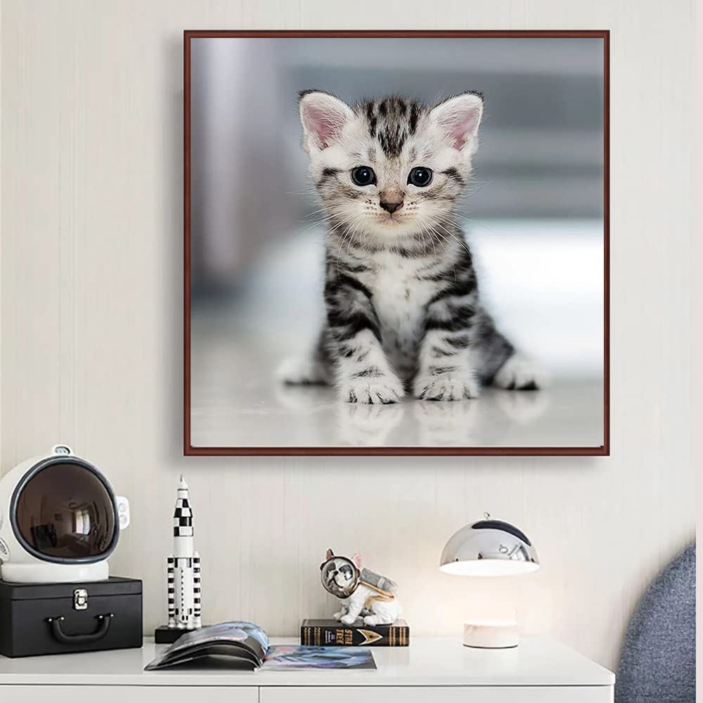 5d Diamond Painting Katzen 5D Diamond Painting Set Tier Katze,Diamant  Painting Bilder Kit DIY Diamond Painting Kinder Ab 10 Jahre, image size:1000x1000