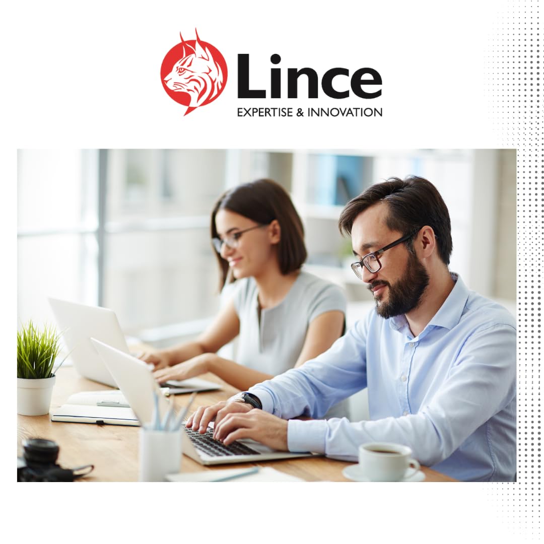 Lince 991003AD Cerradero Eléctrico, 136 x 22 mm