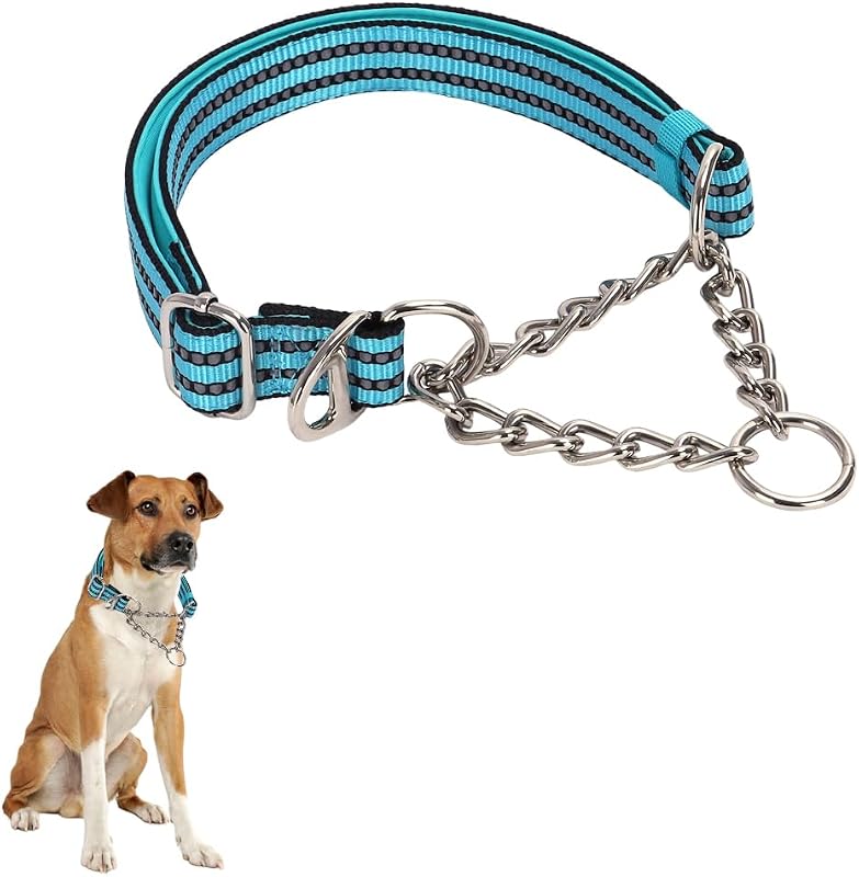 Coleira Martingale para Cães com Corrente de Aço Inoxidável HimyBB, Azul, XL