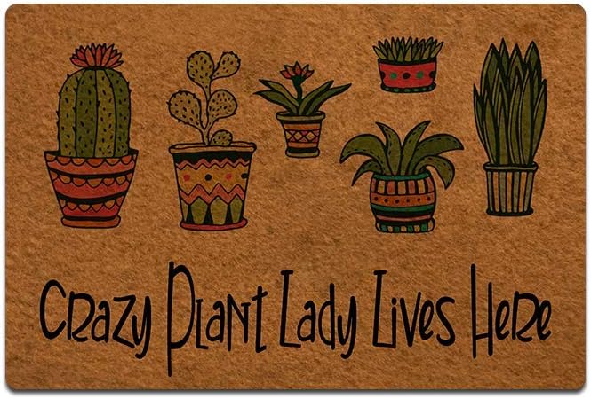 Crazy Plant Lady Lives Here Funny Doormat Custom Home Living Decor Housewares Rugs and Mats State Indoor Gift Ideas Washable Fabric Top 30"(W) X 18"(L)