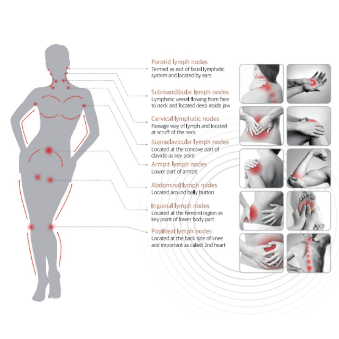 Amazon.com: HISTOLAB Dr. Spa | Sonic Vibration Full-Body Massager