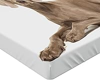 Vista 21 de Ambesonne - Sábana bajera ajustable multicolor, en colores y tres tamaños Azul y gris