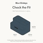 Blue Ginkgo Compact Desk Organizer – Small 5-Compartment, Half Drawer Storage – Pen Holder, Stationery Organizer for Desktop, Vanity, Shelf (Made in Korea, Blue)