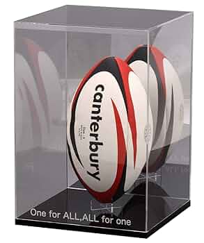 Amazon.co.jp: misorato【名入れ】背面ミラー ラグビーボール