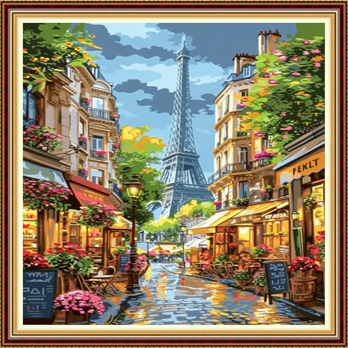 Image of Fanxvivy Stamped Counted Cross Stitch Kits for Adults Printed Cross-Stitch Patterns 11CT Stamped or Counted Cross Stitching Embroidery Kit Needlepoint Kits-Eiffel Tower Street View 18x18 inch