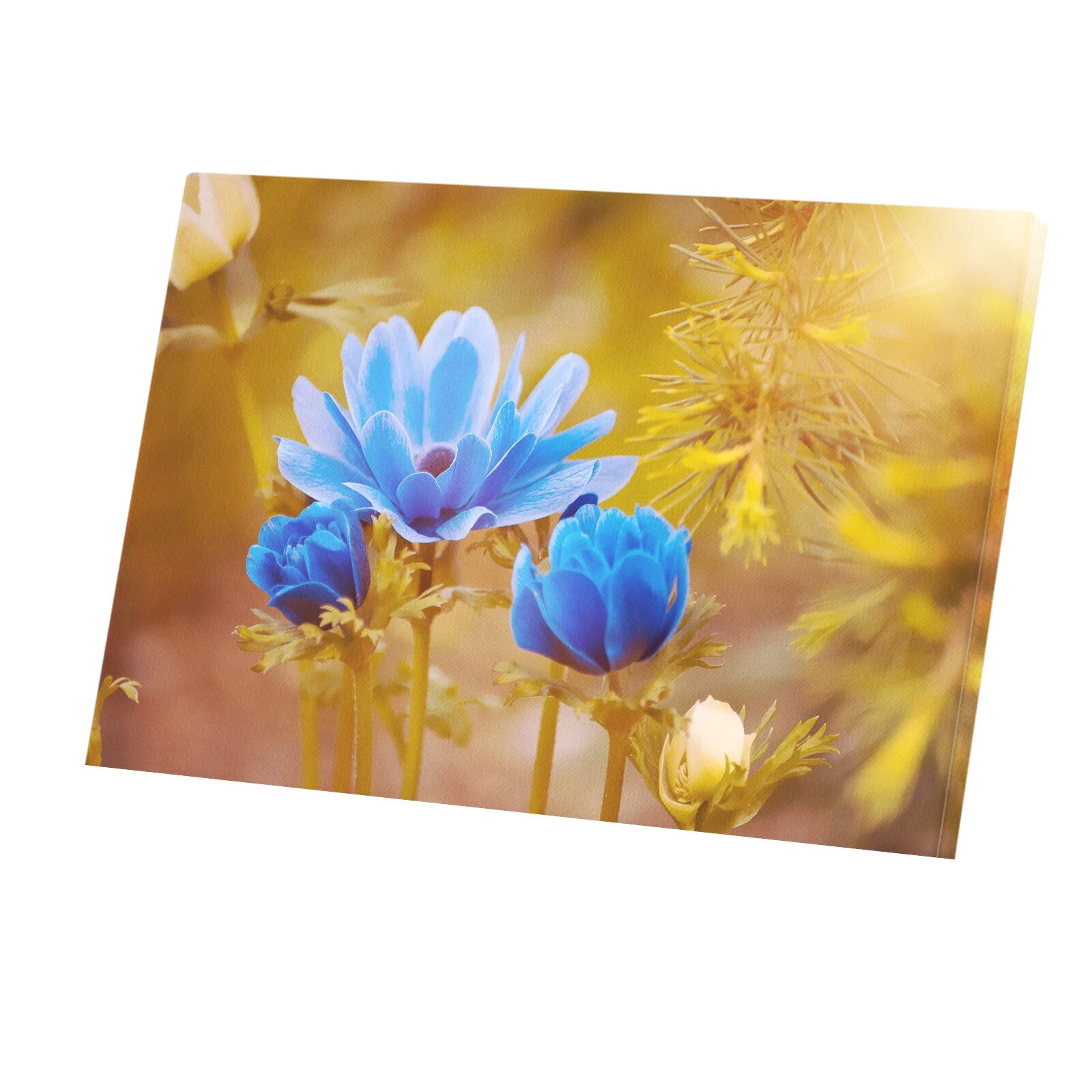 Toile imprimée fleurs bleues cadre déco nature champêtre format 45x30 cm