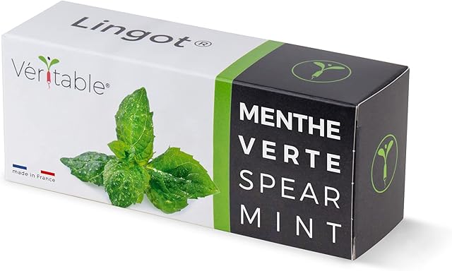 Lingot® Mięta