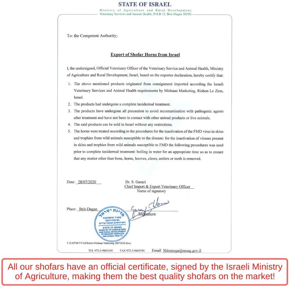 Fully Polished Kosher Shofar from Israel, Kudu Shofar Horn, Officially Signed Certificate, Made in Israel (43"-47") : Musical Instruments